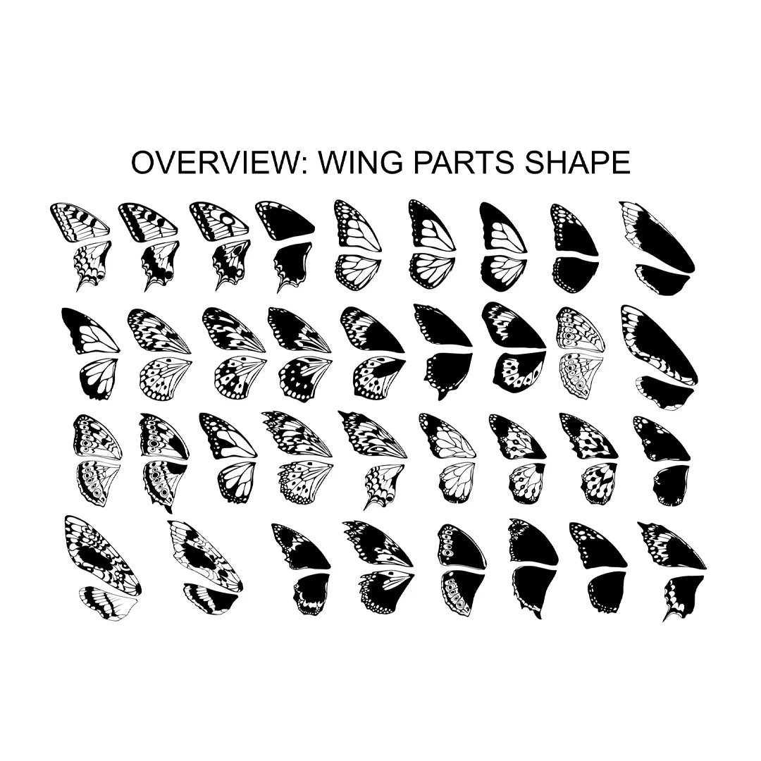 Wings and Butterflies Design Bundle by Reto Scheiweller